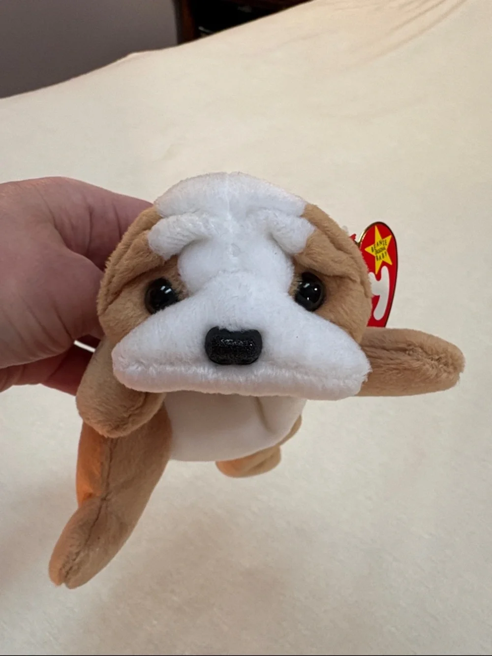 Ty Beanie Baby Wrinkles - 1996- New with tag